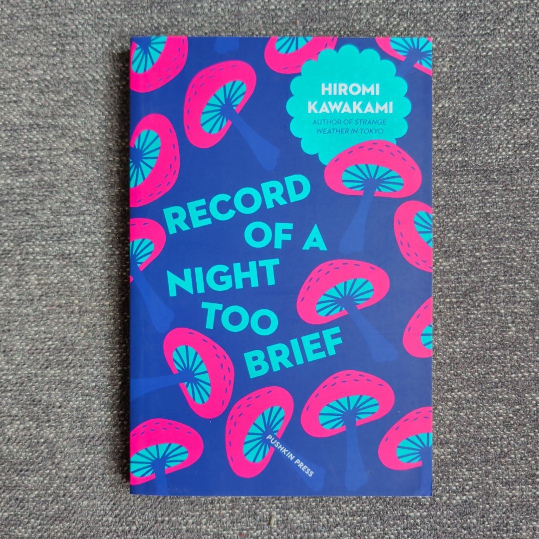 Record of a Night Too Brief