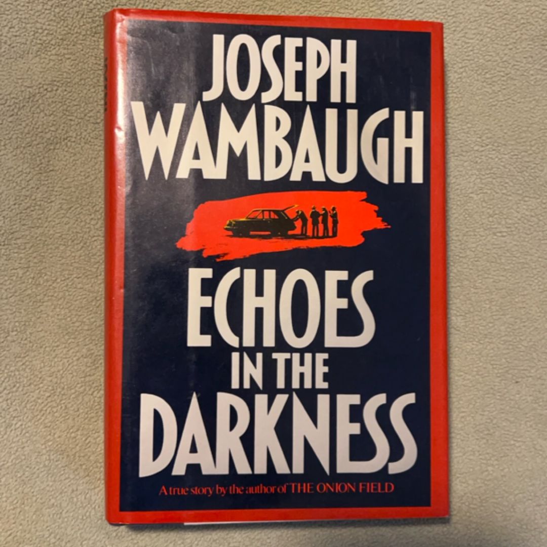 Echoes in the Darkness
