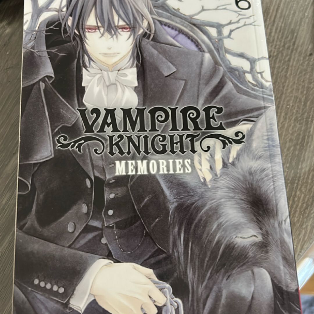 Vampire Knight: Memories, Vol. 6