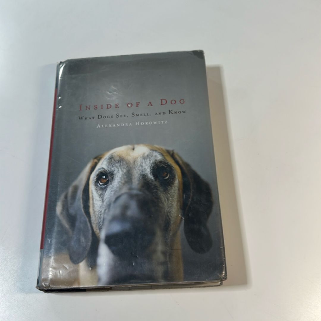 Inside of a Dog