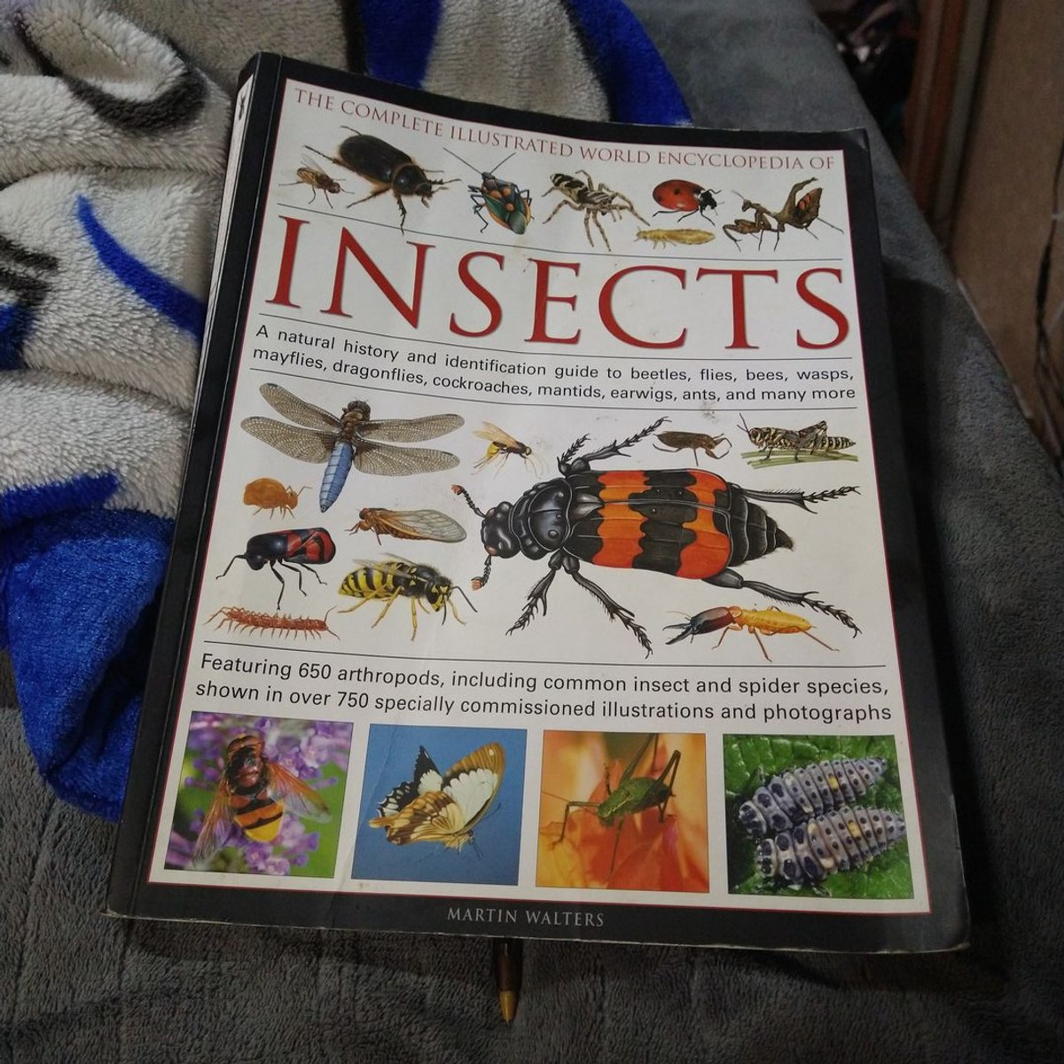The Complete Illustrated World Encyclopedia of Insects by Martin