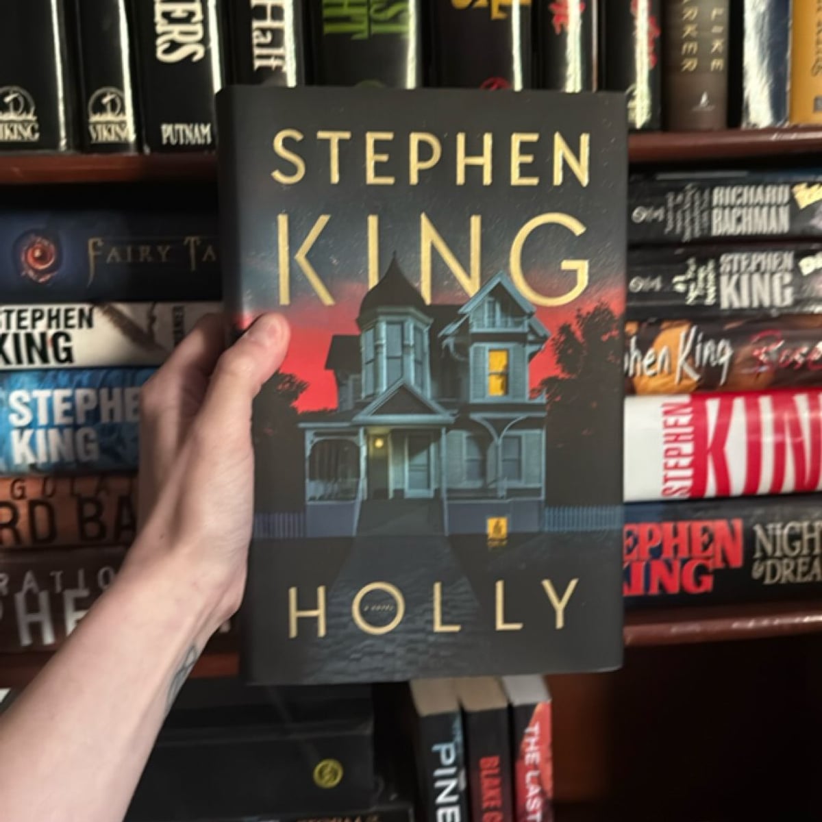 Holly by Stephen King, Hardcover | PangoBooks