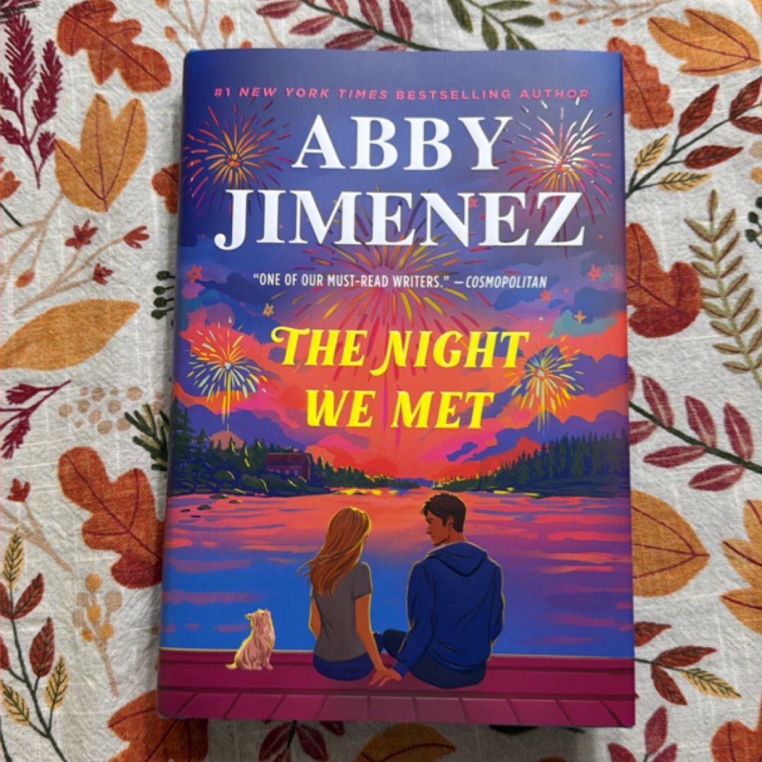 The Night We Met