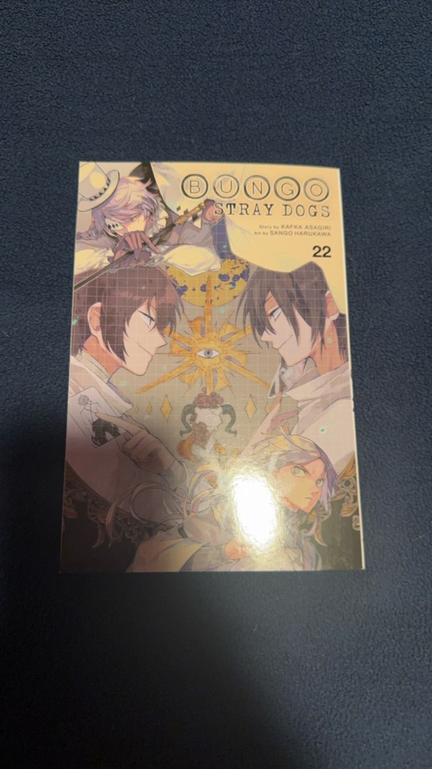 Bungo Stray Dogs, Vol. 22