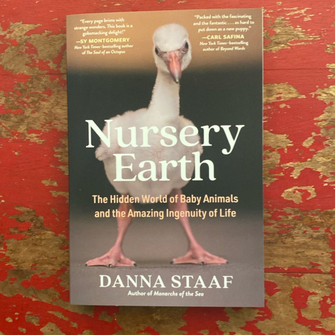 Nursery Earth