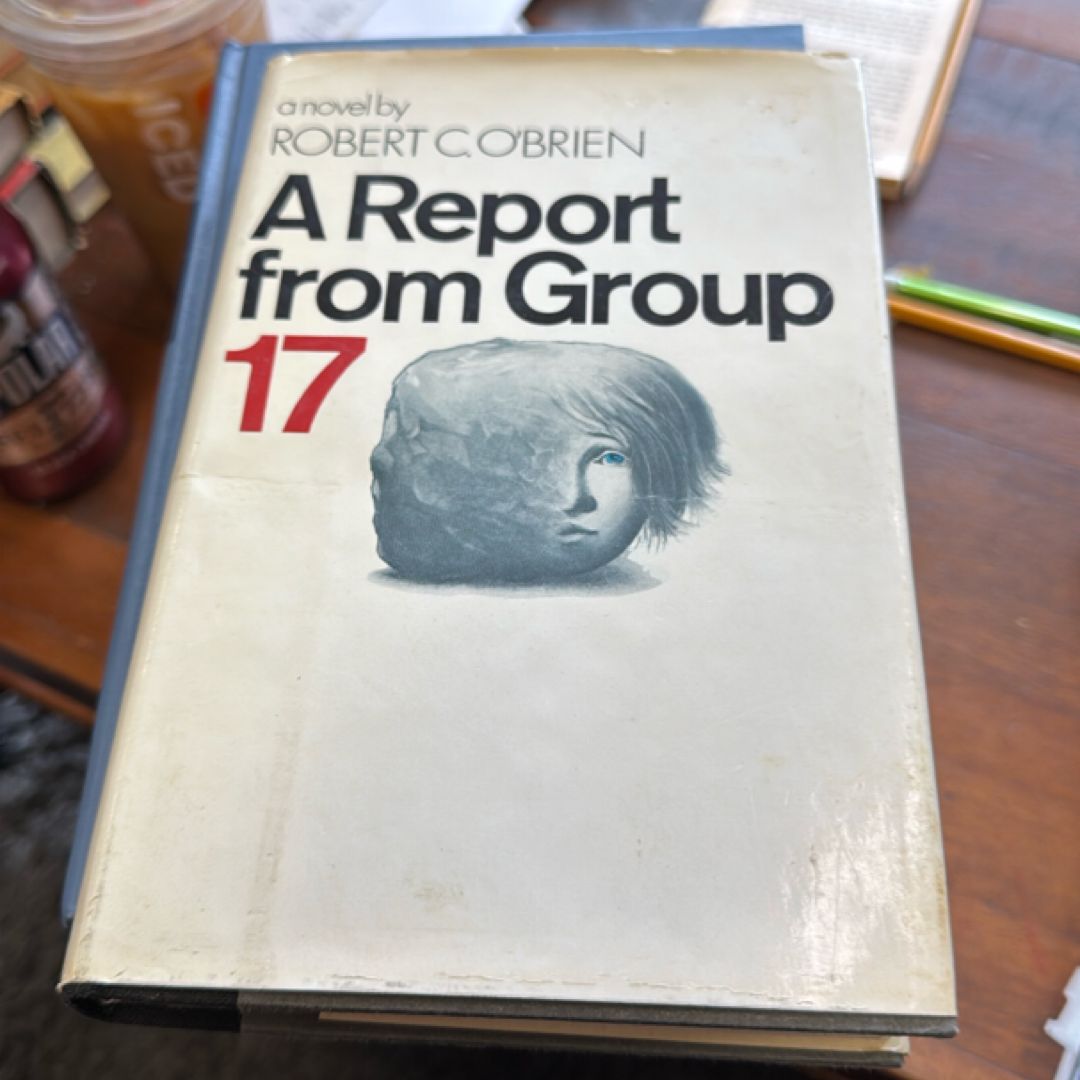A Report from Group 17