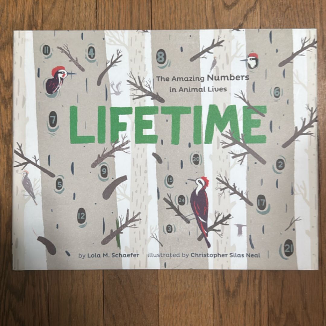 Lifetime