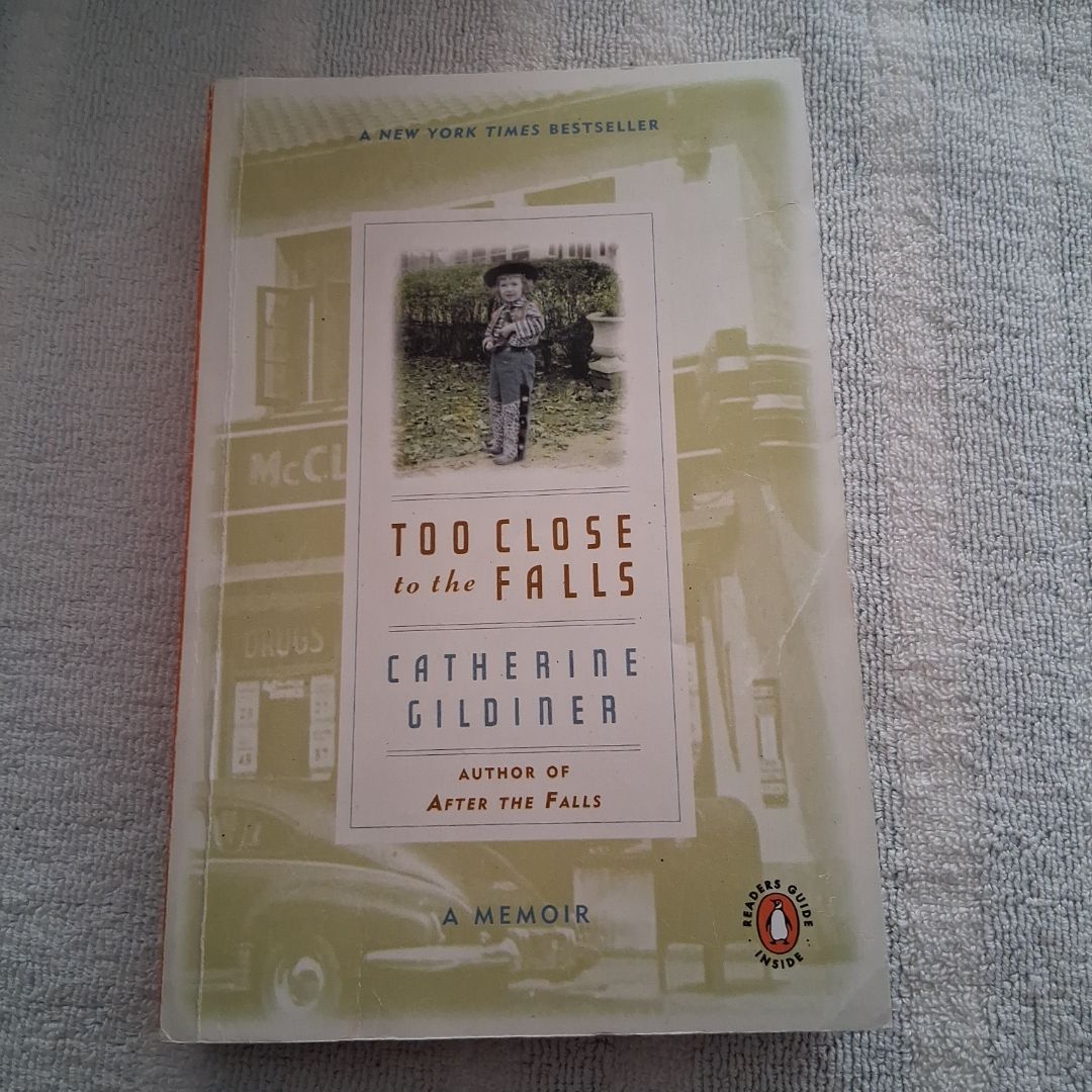 Too Close to the Falls