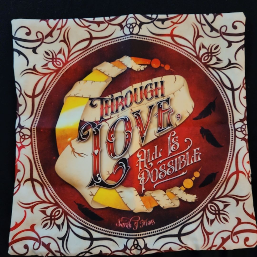 Crescent City inspried pillowcase - Fairyloot 