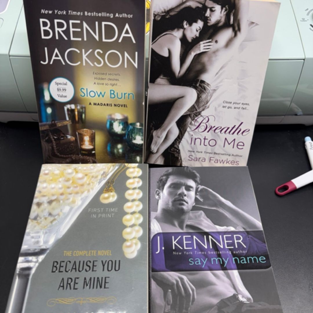 Spicy book bundle 