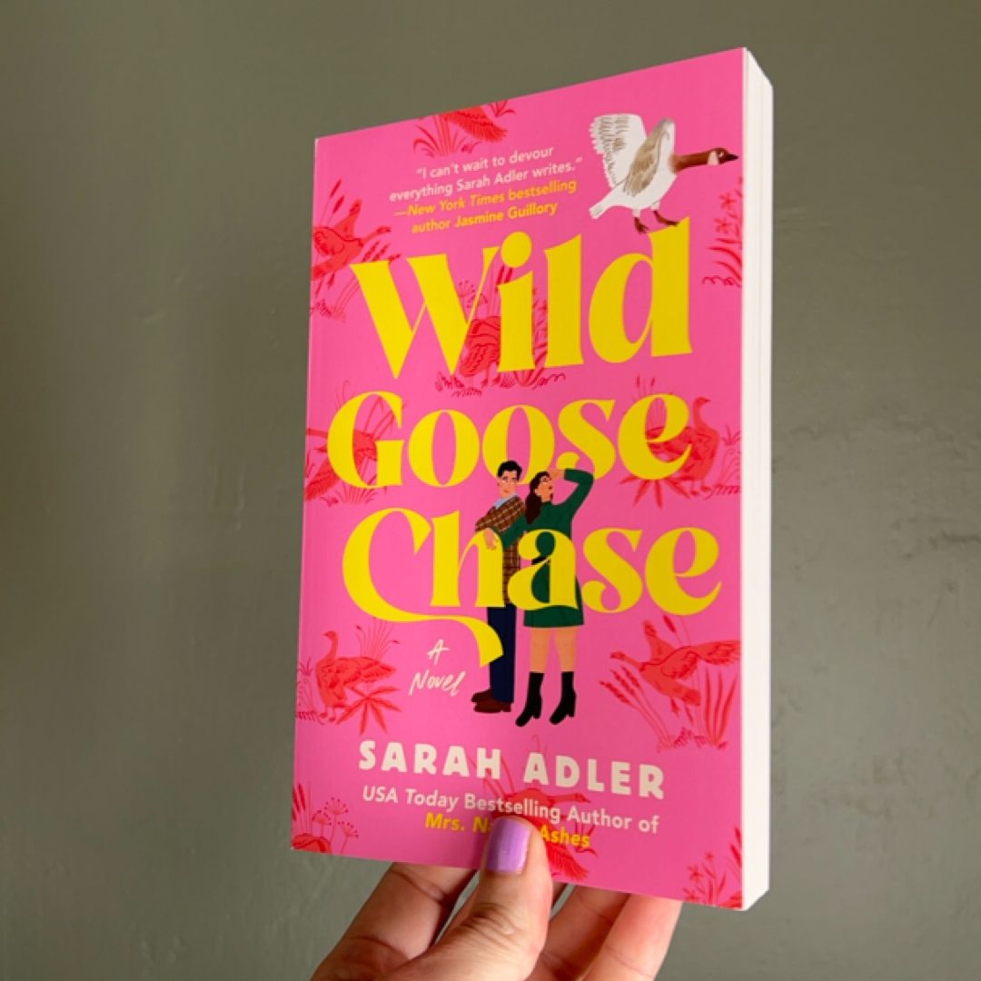Wild Goose Chase