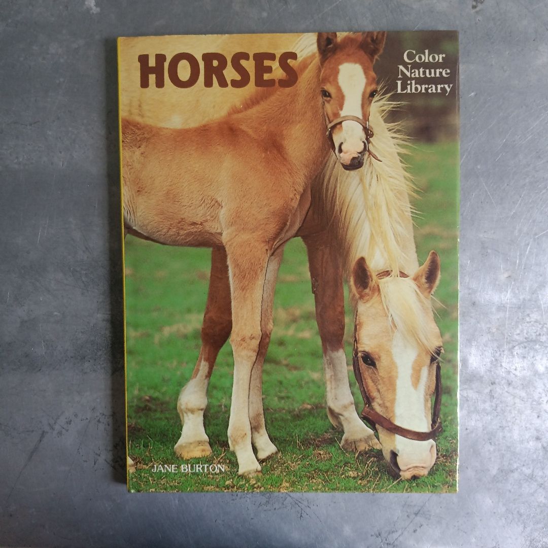 Horses