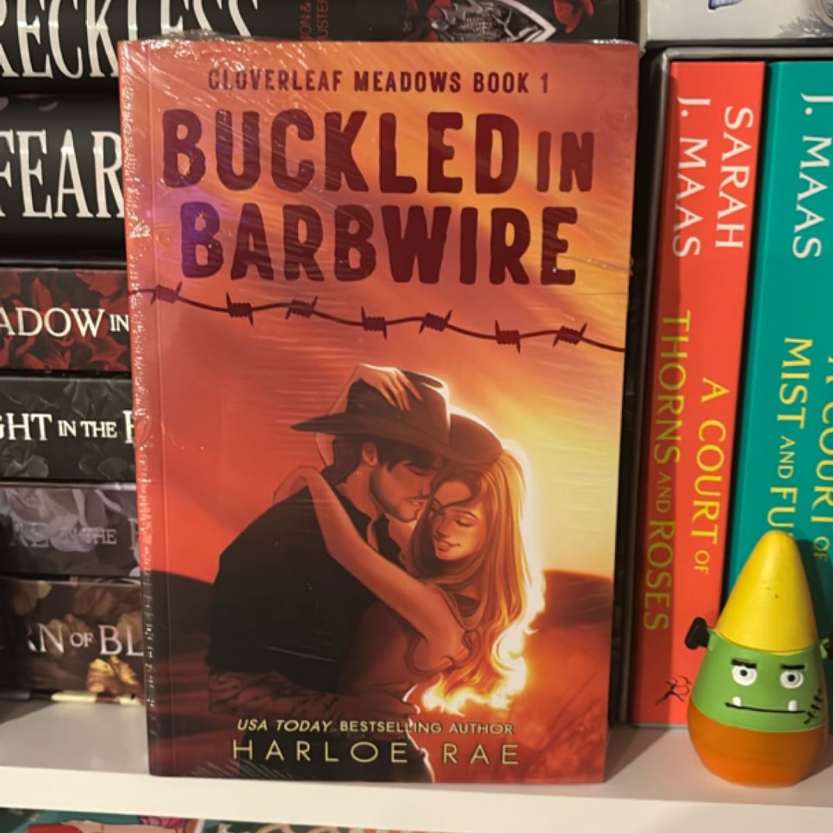 Buckled in Barbwire by Harloe Rae, Paperback | Pangobooks
