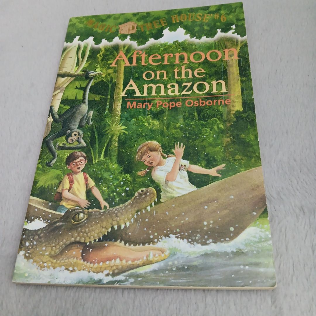 Afternoon on the Amazon