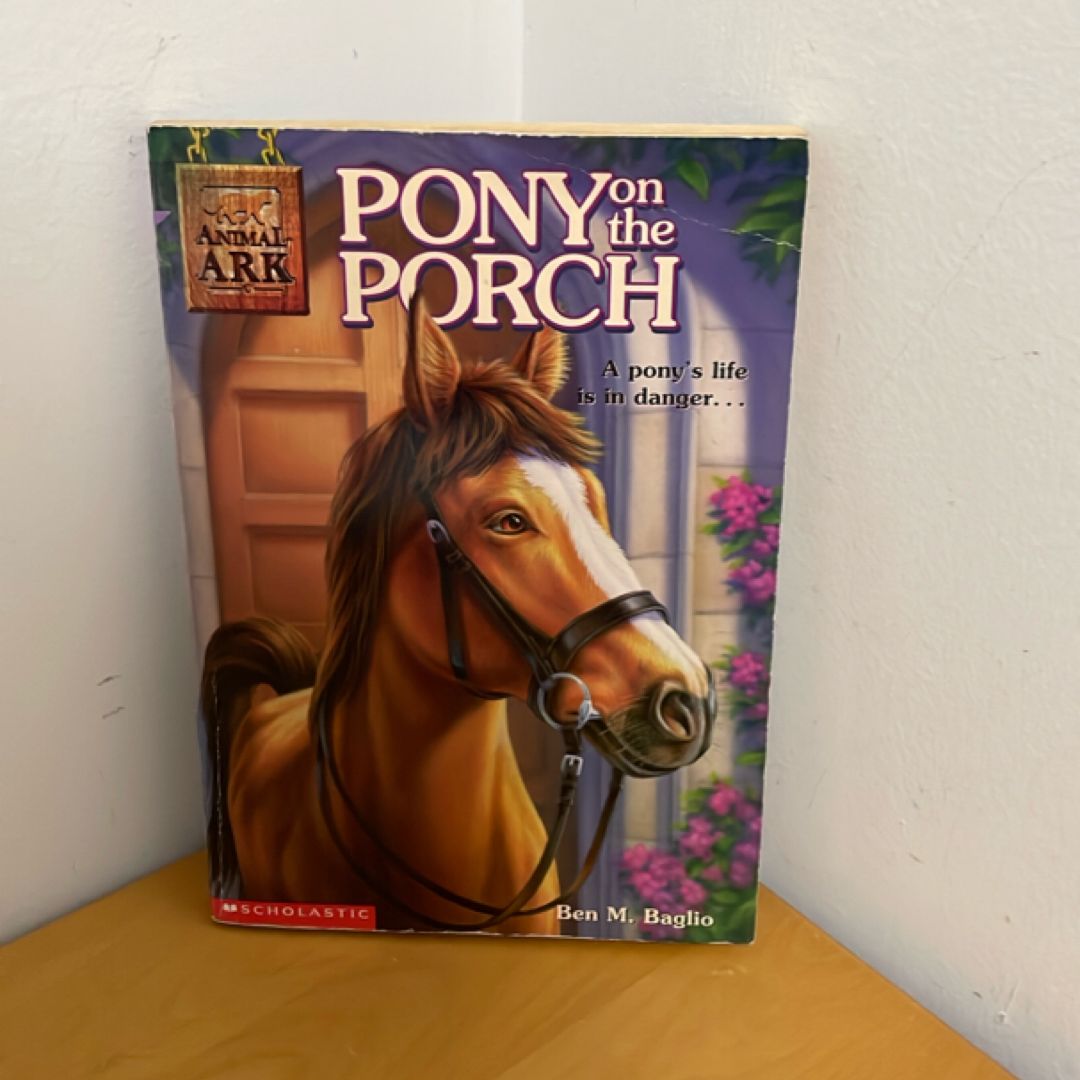 Pony on the Porch