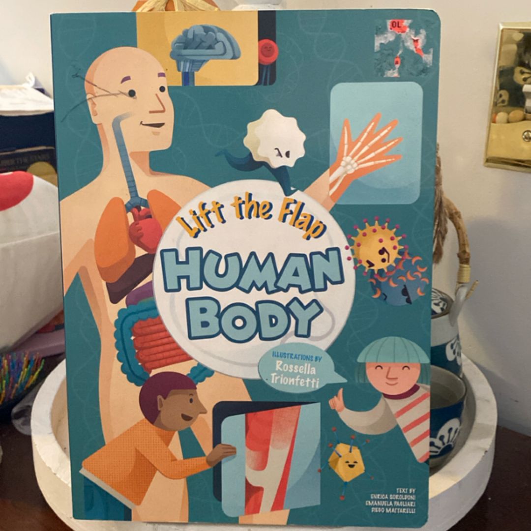 Human Body