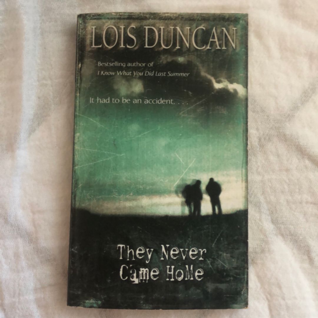 They Never Came Home