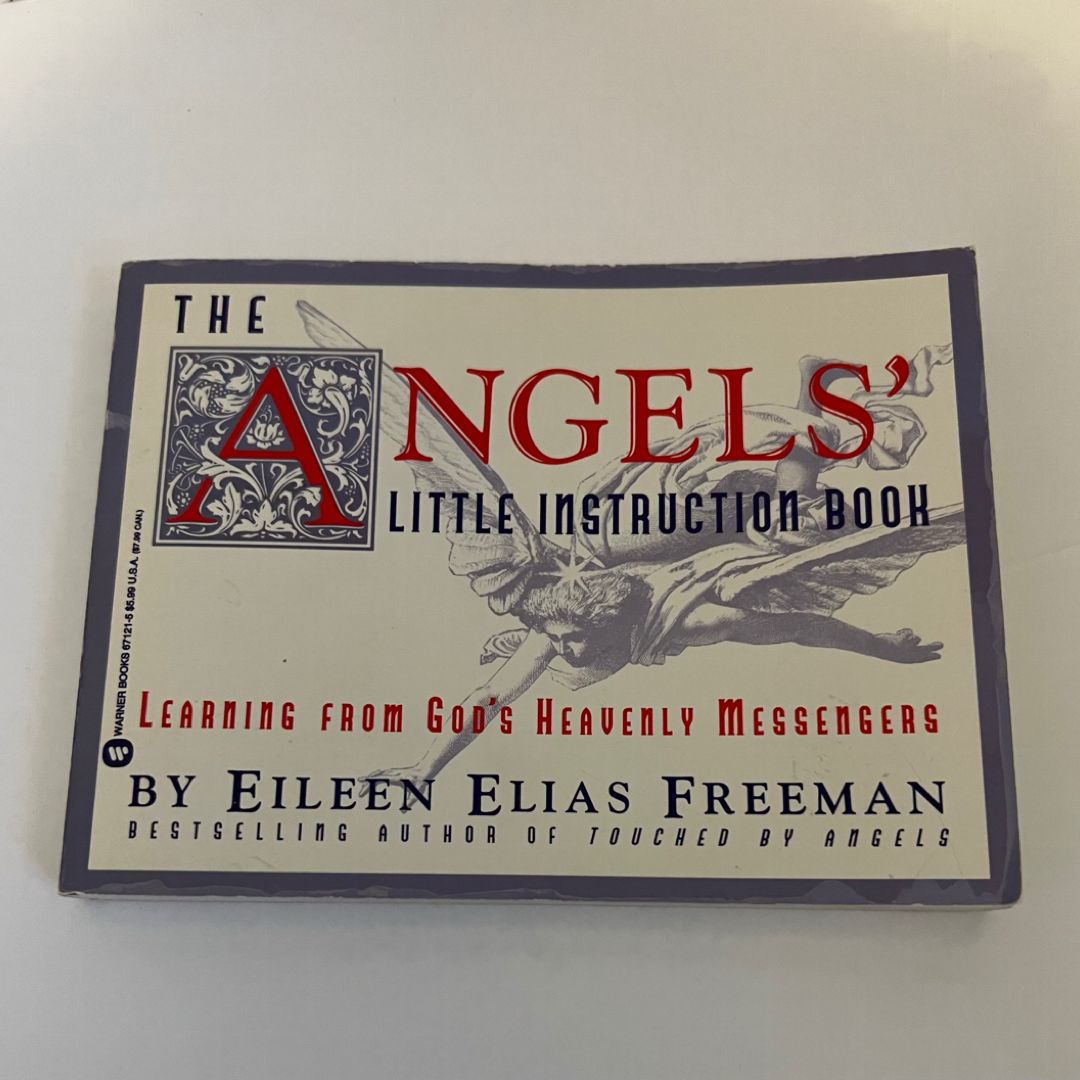 The Angel's Little Instruction Book
