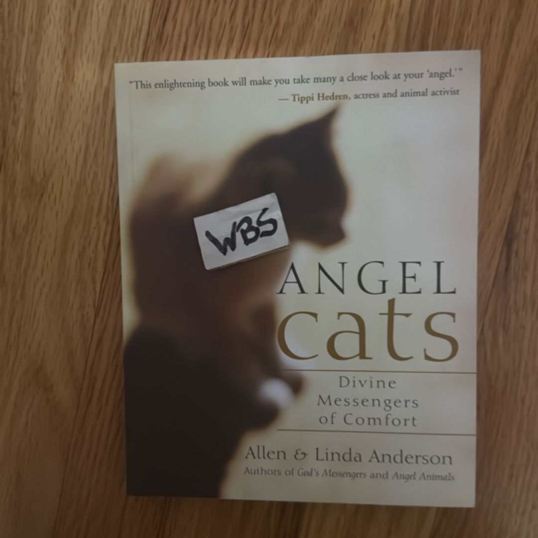 Angel Cats