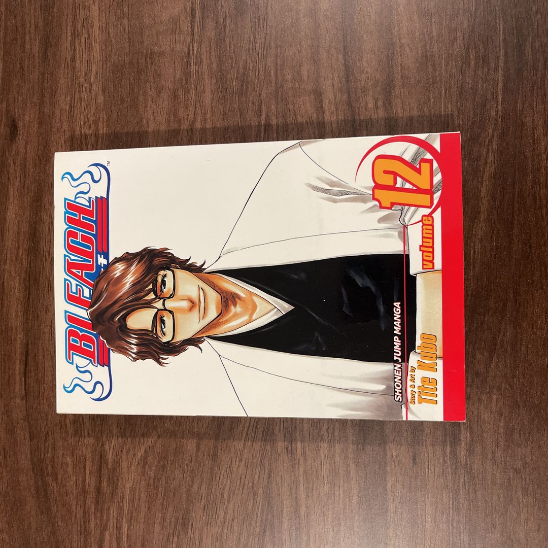 Bleach, Vol. 12