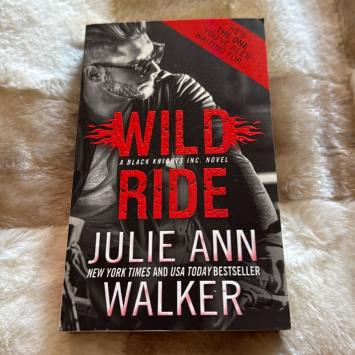 Wild Ride by Julie Ann Walker