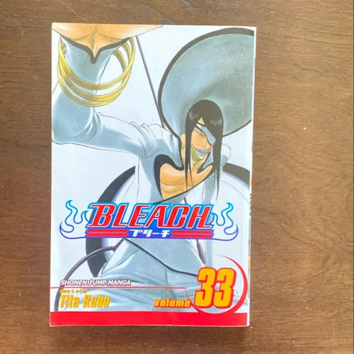 Bleach, Vol. 33