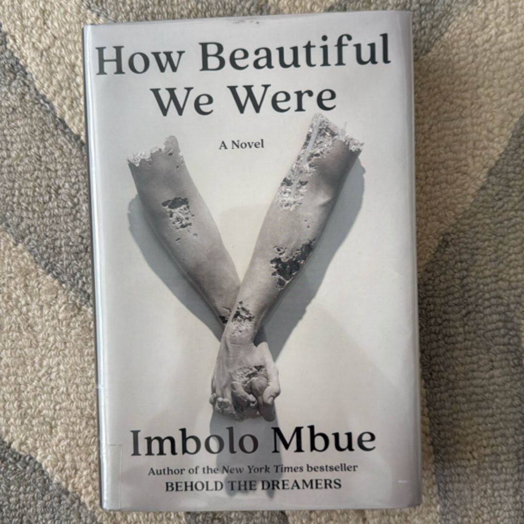How Beautiful We Were