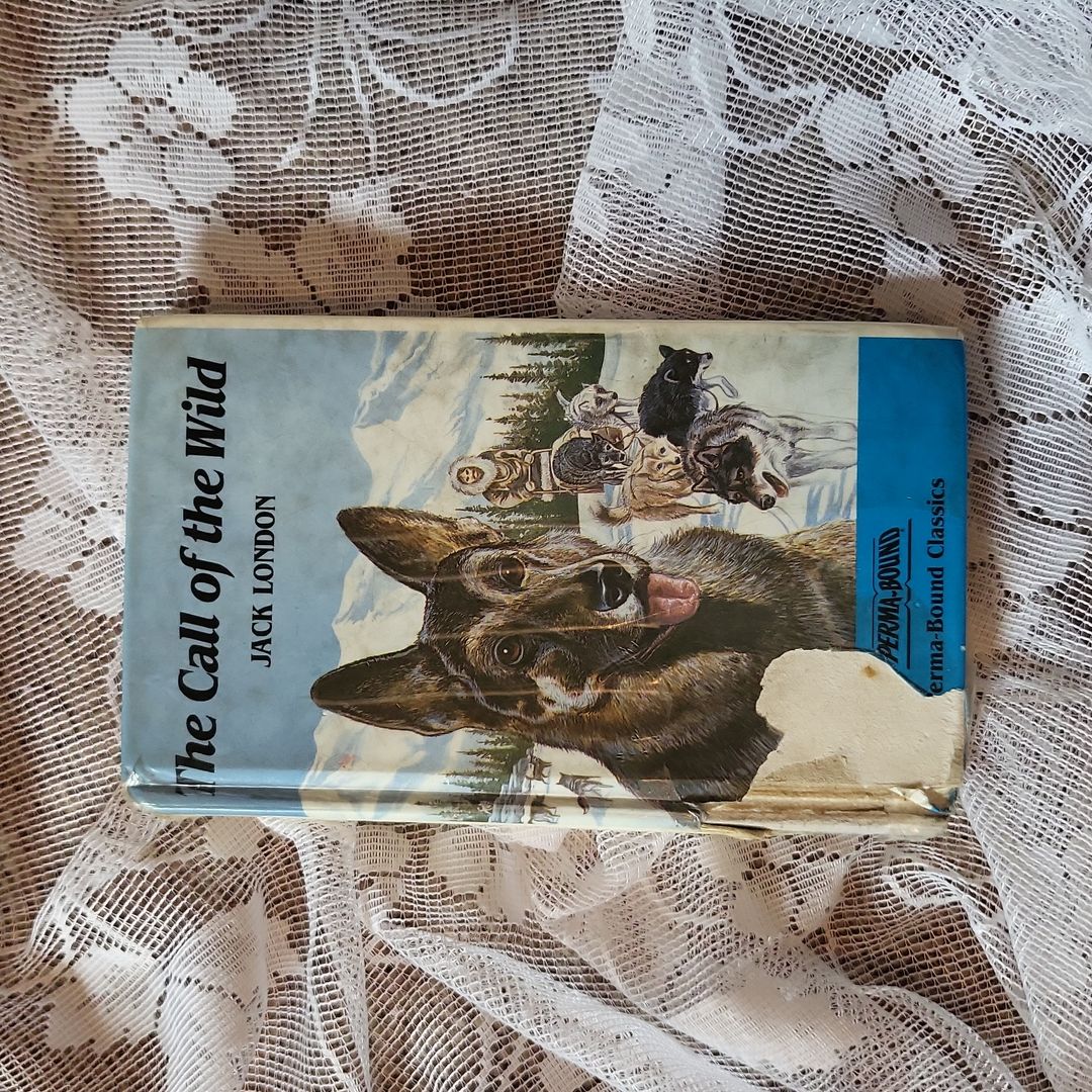 Call of the Wild and Treasure Island