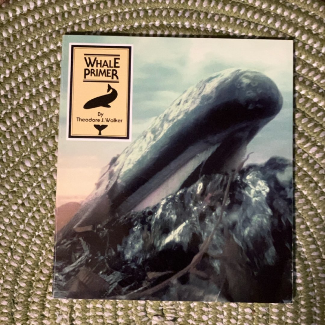 Whale Primer