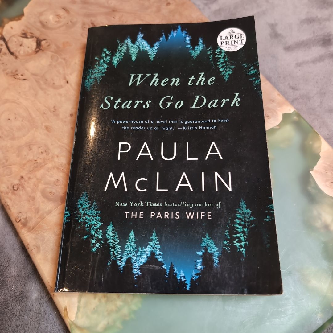 When the Stars Go Dark (Large Print)