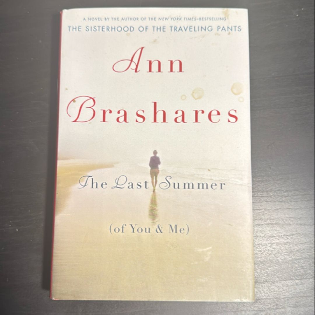 The Last Summer (Of You and Me)