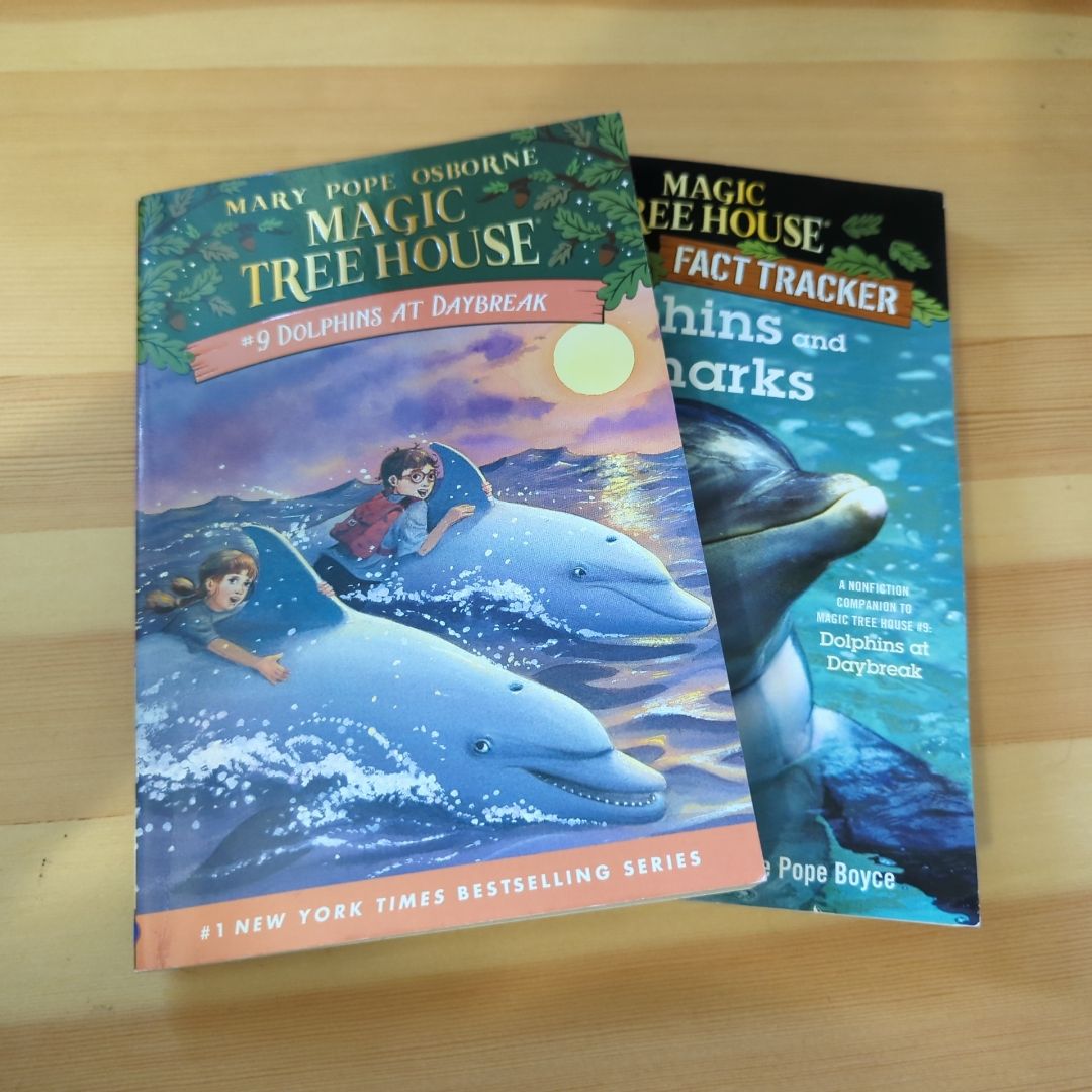 Dolphins at Daybreak