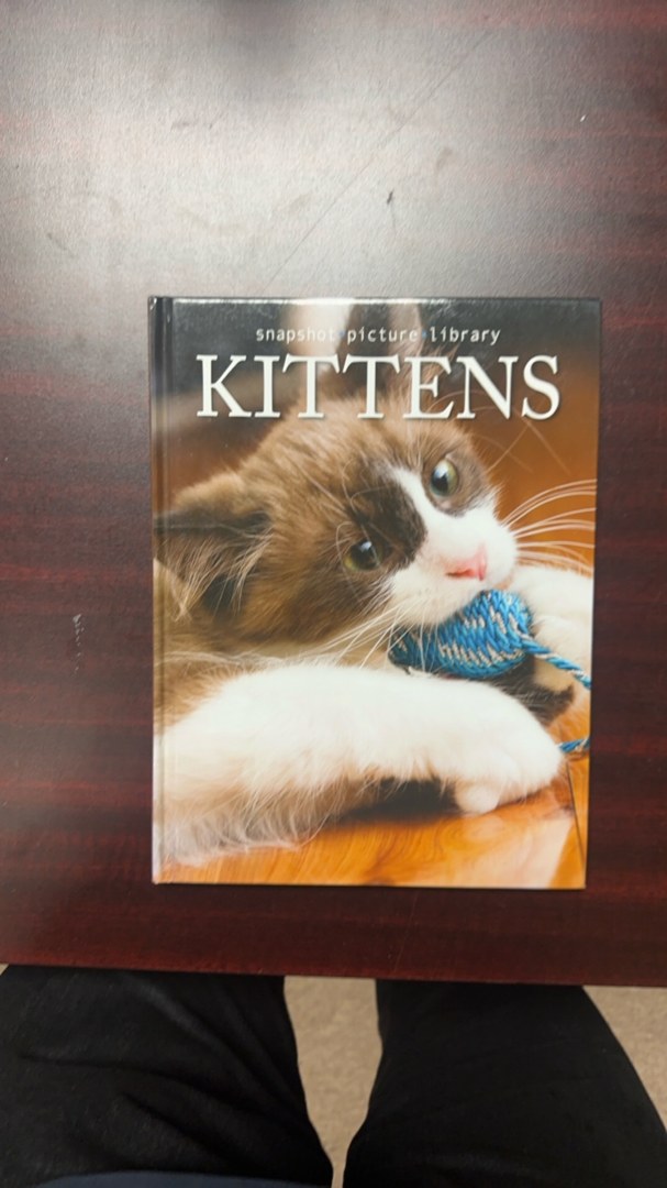 Kittens
