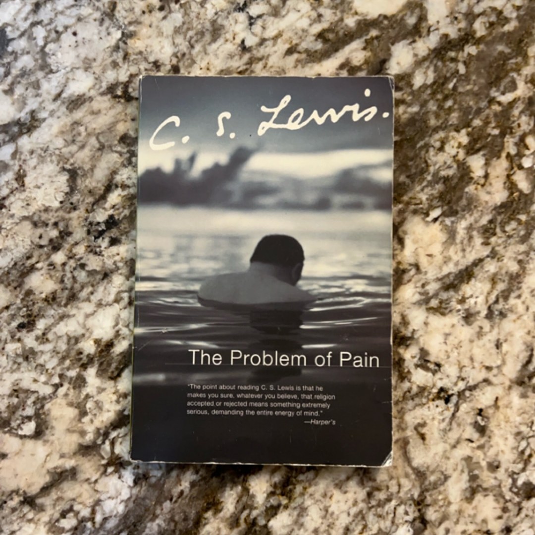 The Problem of Pain