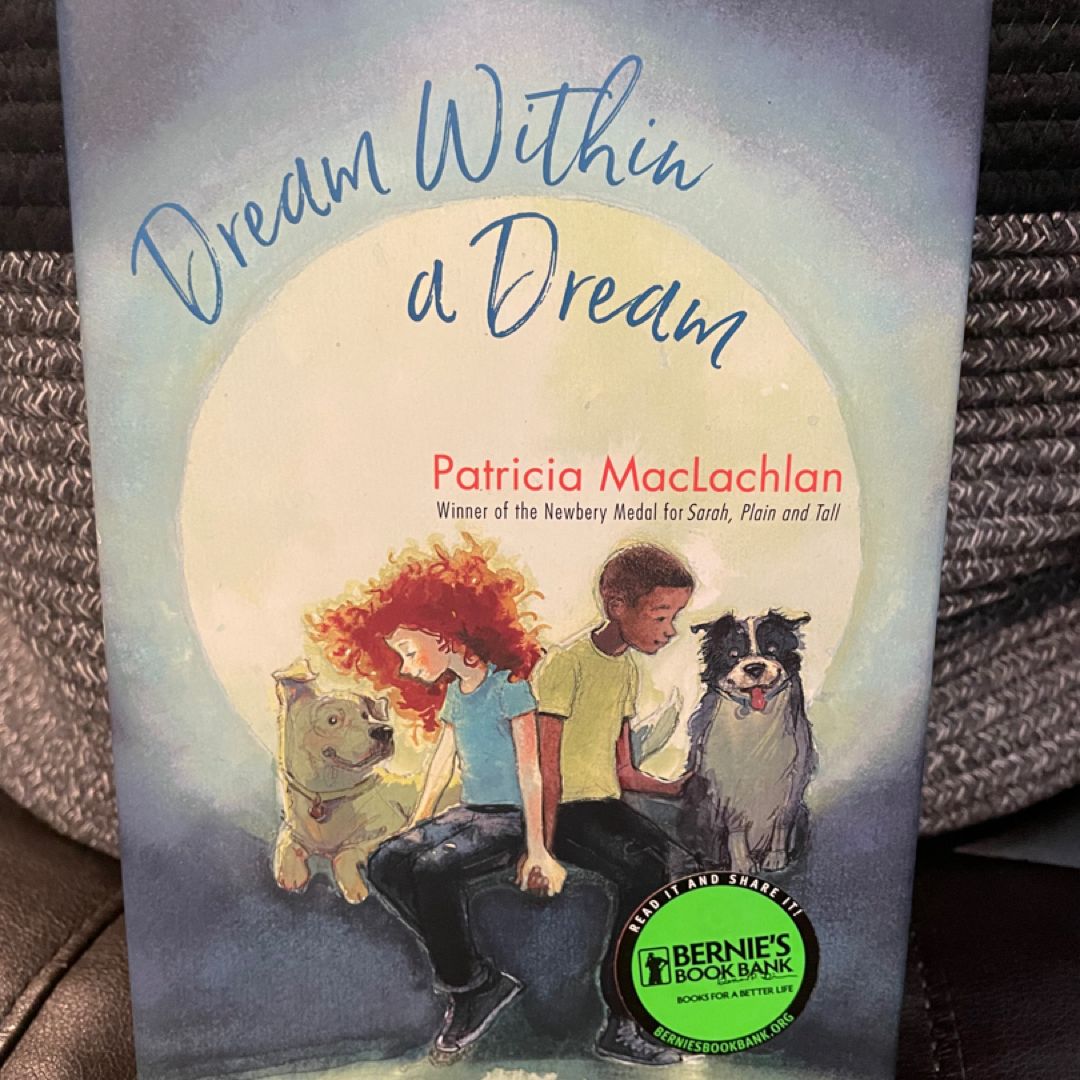 Dream Within a Dream