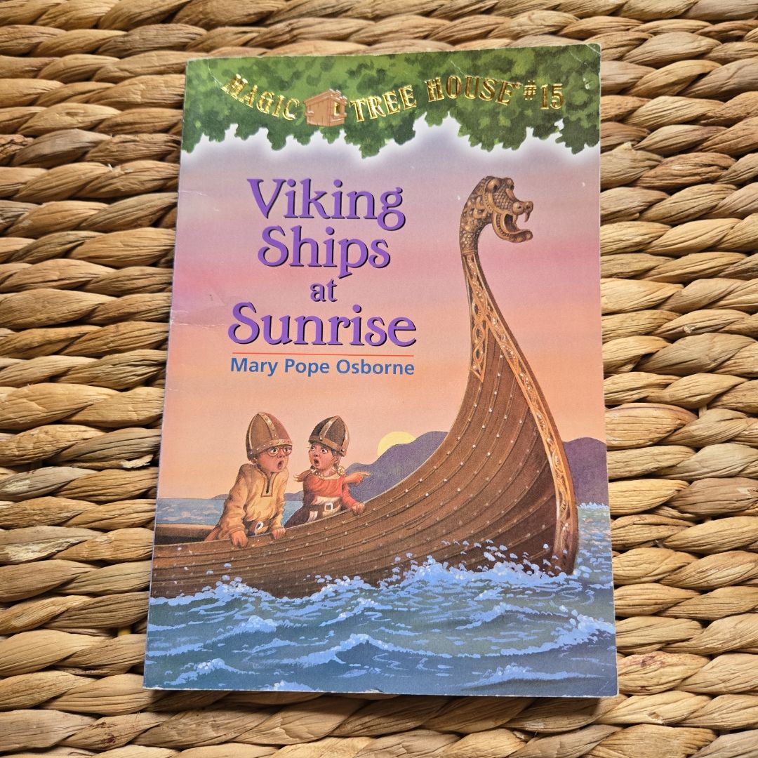 Viking Ships at Sunrise