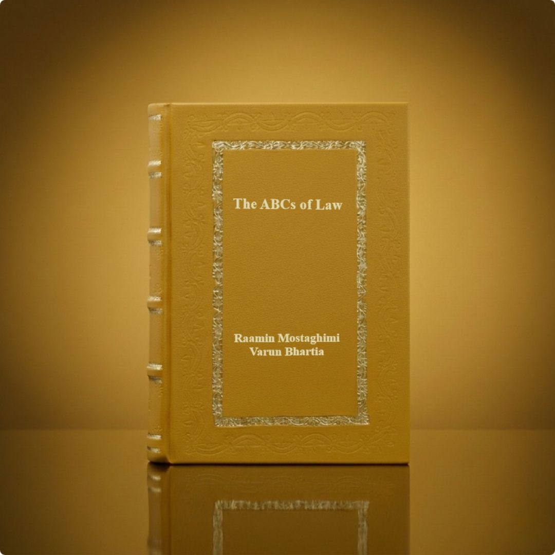 The ABCs of Law: 2 by Raamin Mostaghimi, Varun Bhartia Leather Bound Edition 