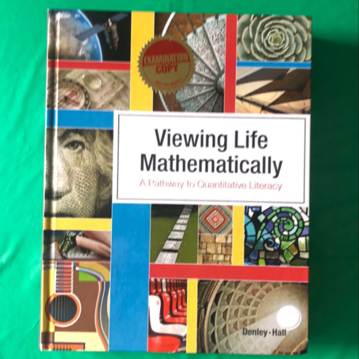 Viewing Life Mathematically by Hawkes Learning Systems, Hardcover ...