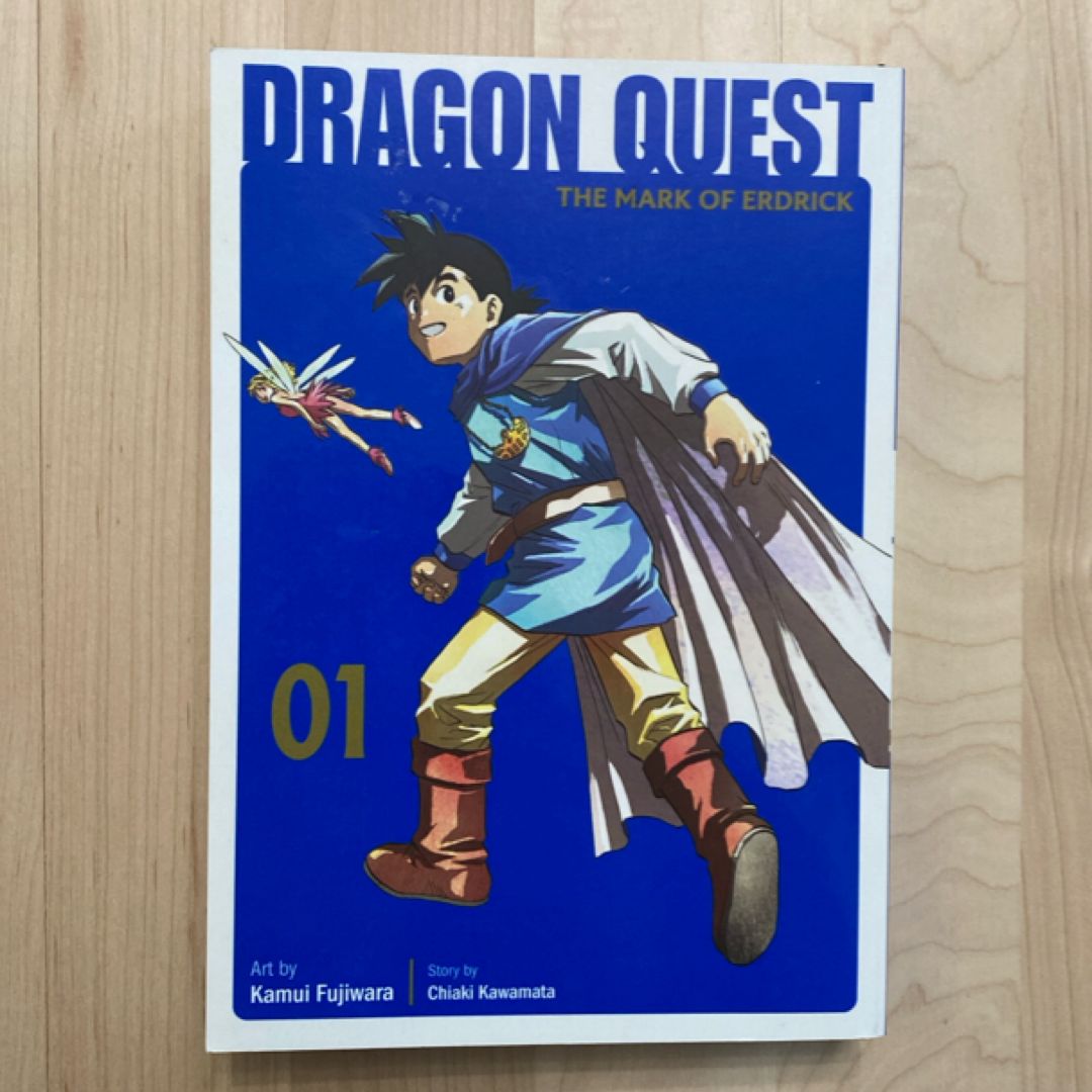 Dragon Quest: the Mark of Erdrick 01