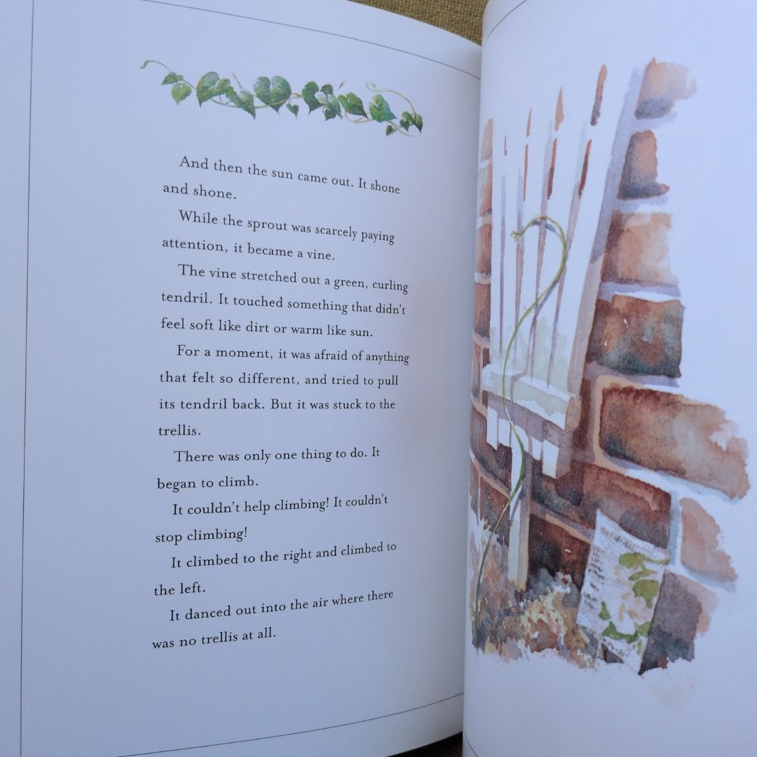 The Trellis and the Seed