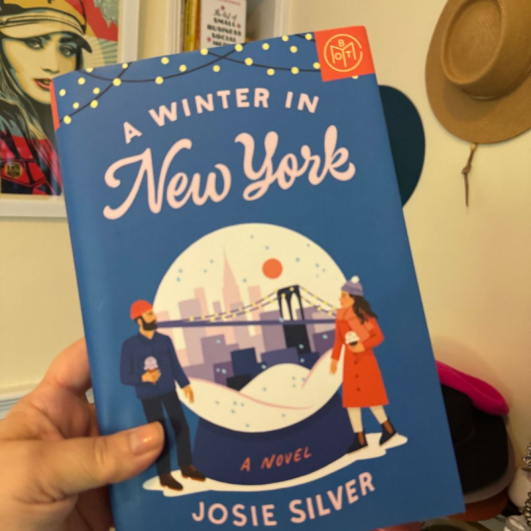 A Winter in New York