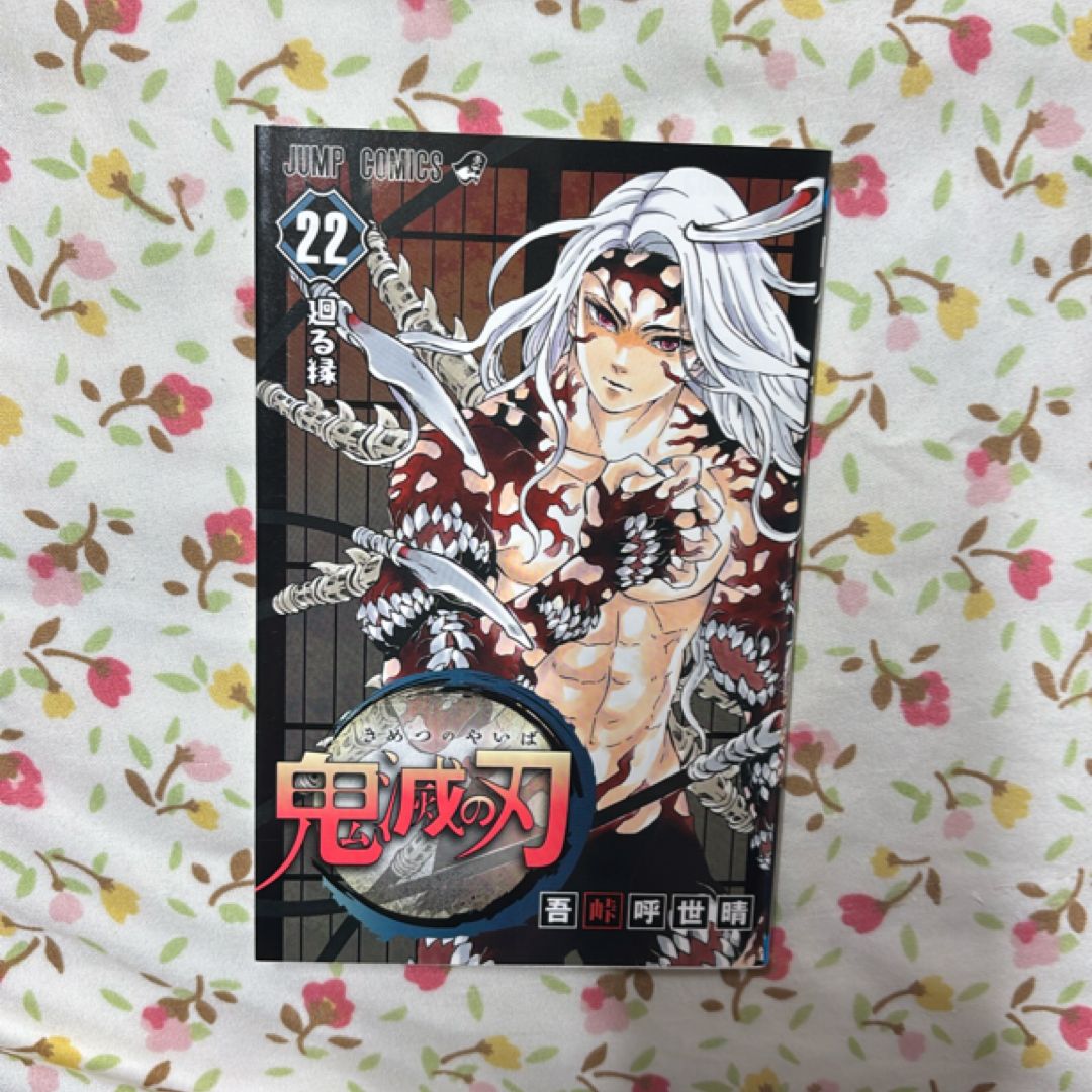 Kimetsu no Yaiba Vol. 22 (Japanese edition)