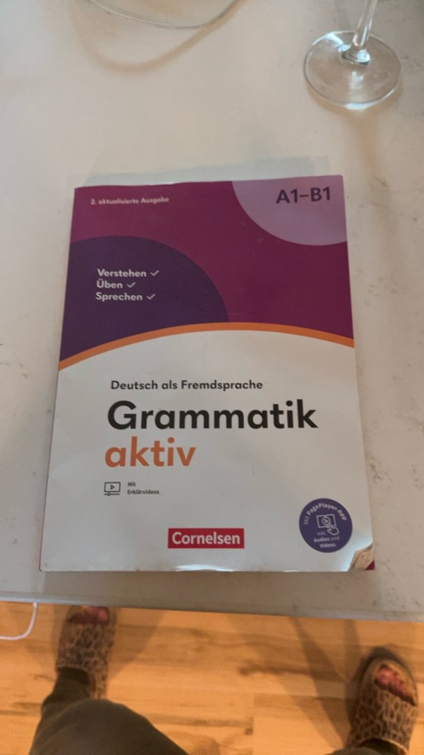 Grammatik aktiv A1-B1 : Verstehen, Üben, Sprechen