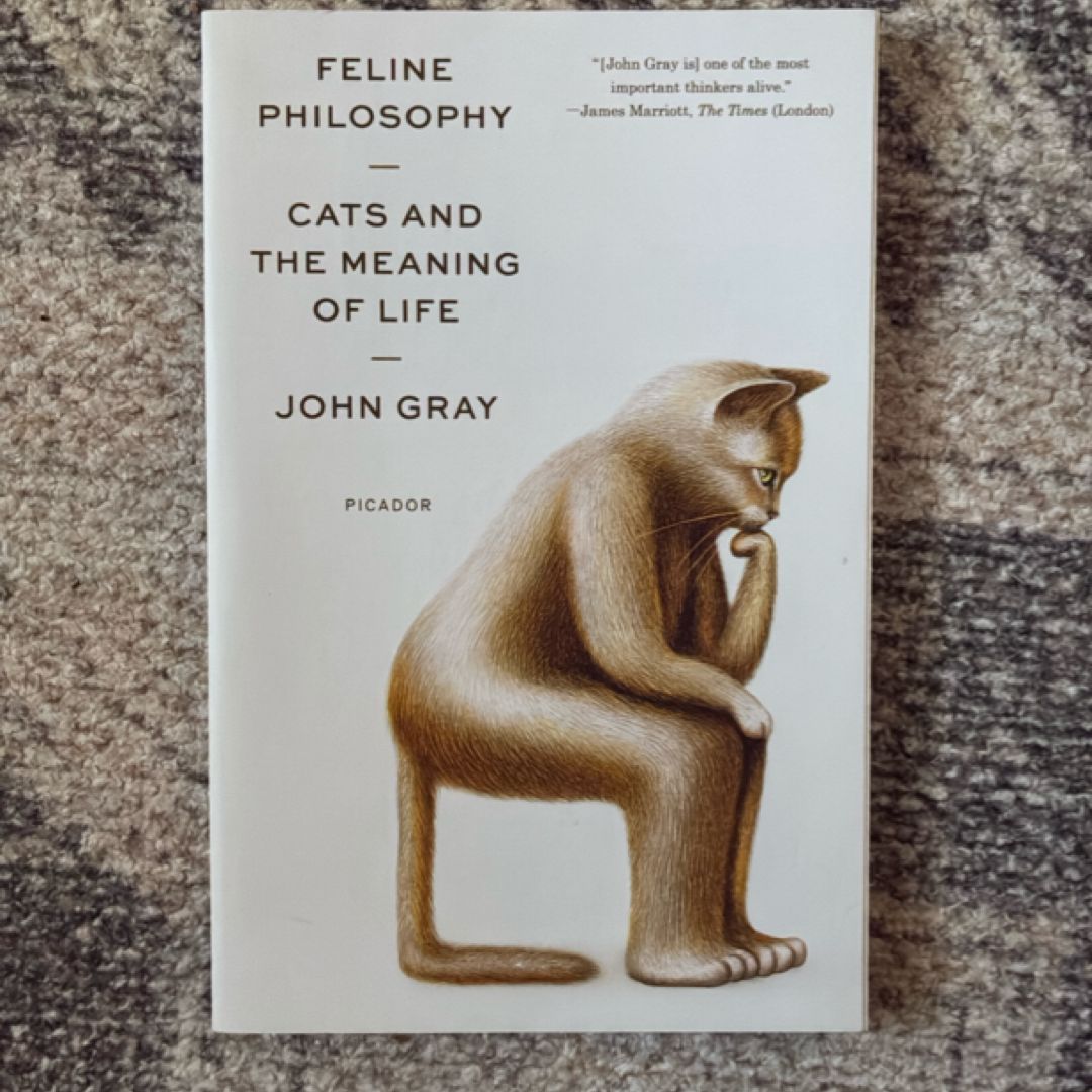 Feline Philosophy