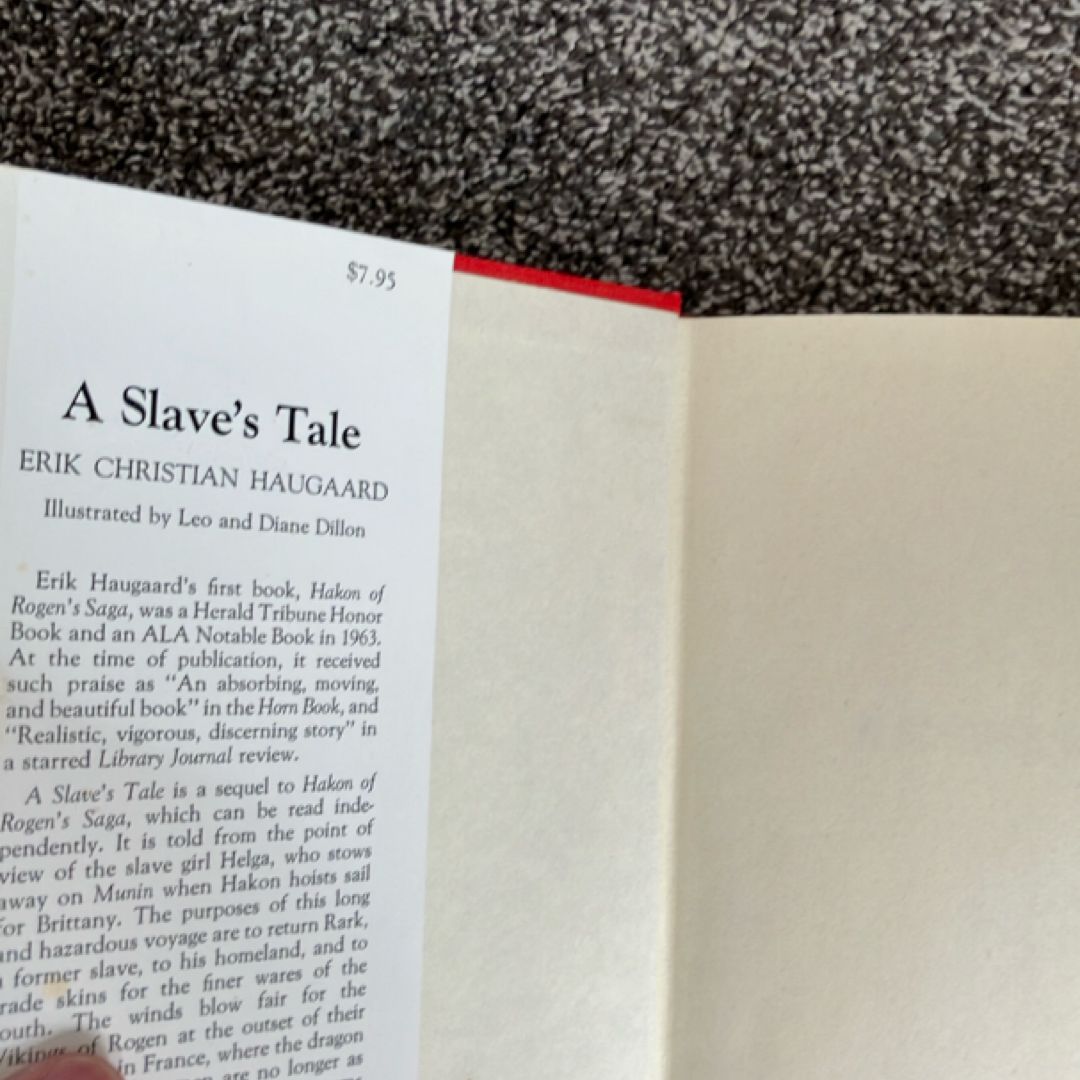 Slave's Tale