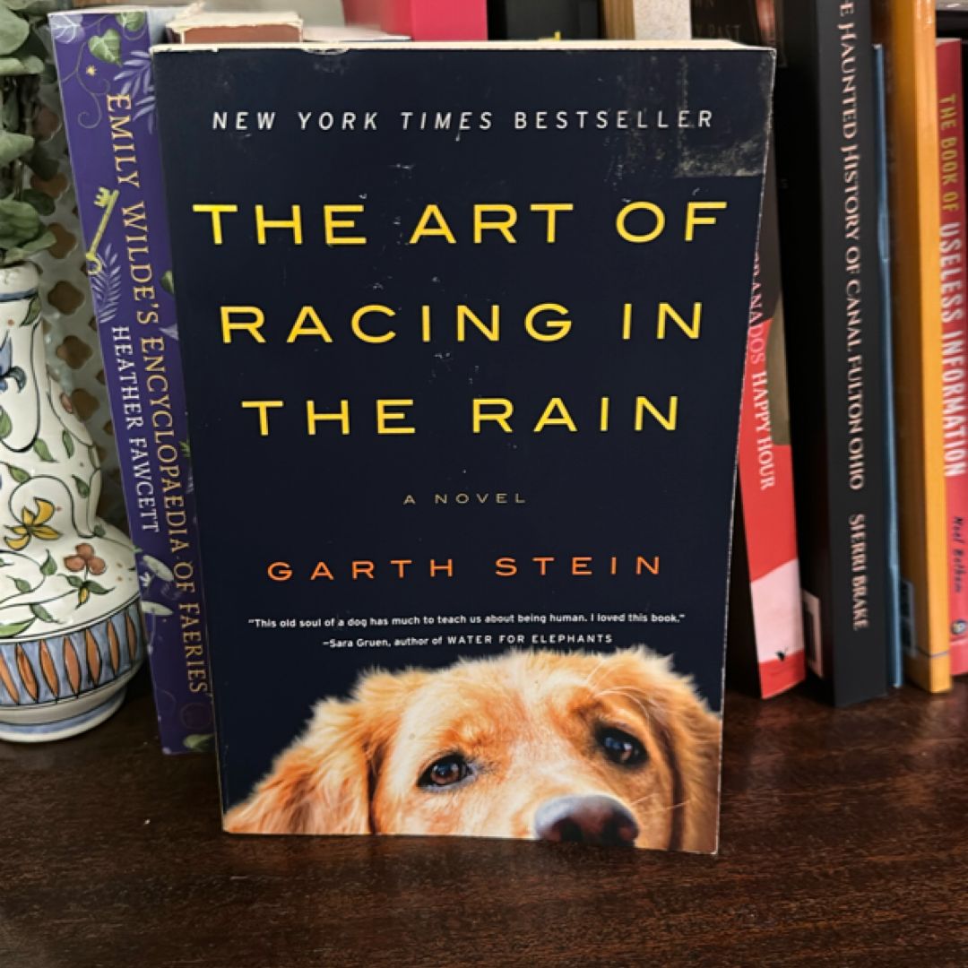 The Art of Racing in the Rain