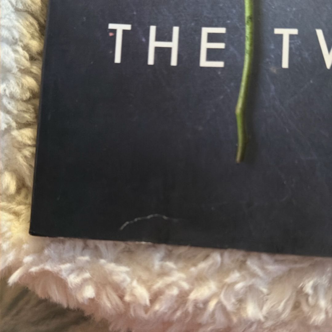 The Twin