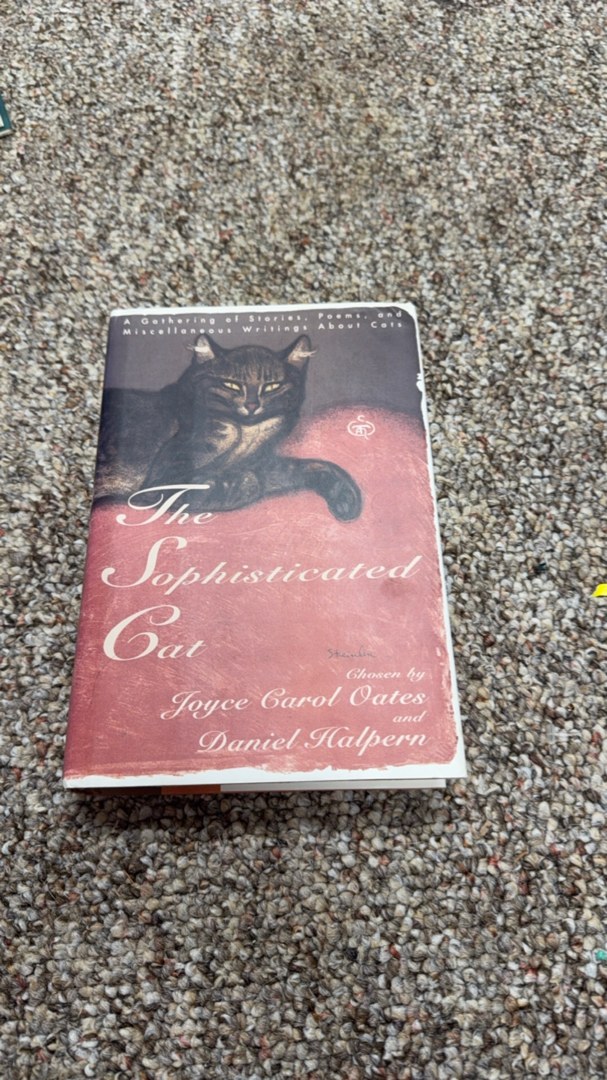 The Sophisticated Cat