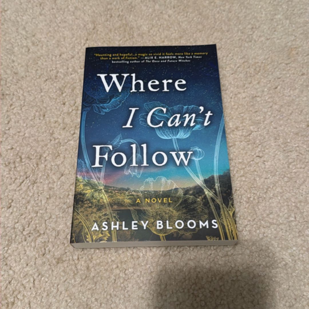 Where I Can't Follow