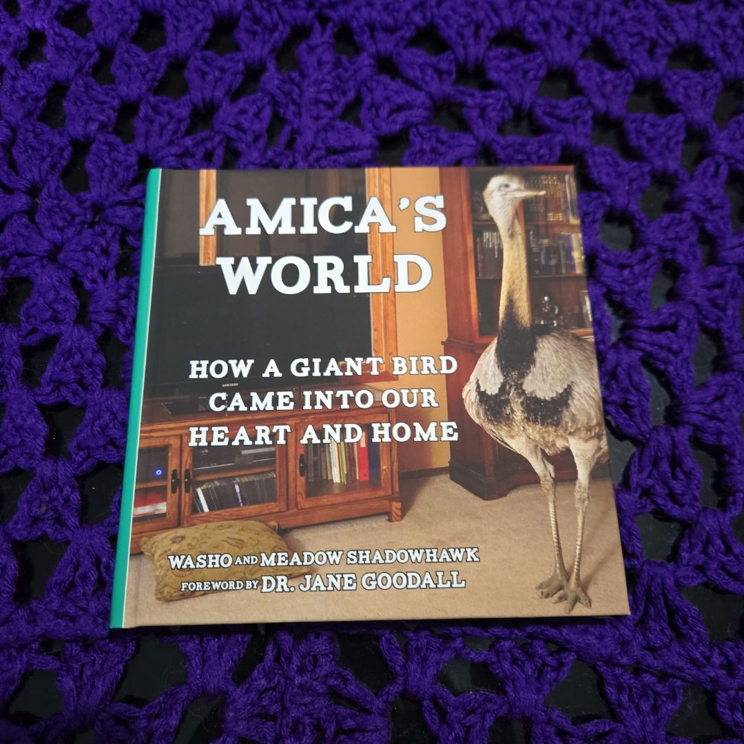 Amica's World